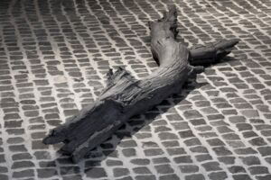 Aufnahme aus der Ausstellung Edge Effect von Jonas Wendelin