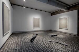 Aufnahme aus der Ausstellung Edge Effect von Jonas Wendelin