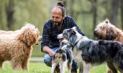 Jan Zander Sami El Ayachi kniend von Hunden umgeben, führt zum Kalendereintrag