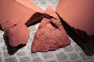Aufnahme aus der Ausstellung Edge Effect von Jonas Wendelin