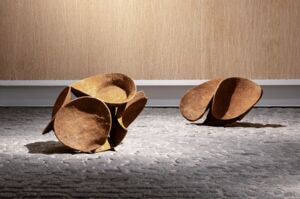 Aufnahme aus der Ausstellung Edge Effect von Jonas Wendelin
