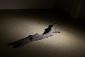 Jonas Wendelin, Impatience of Permanence