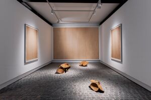 Aufnahme aus der Ausstellung Edge Effect von Jonas Wendelin