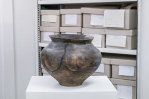 Aufnahme aus der Ausstellung Edge Effect von Jonas Wendelin